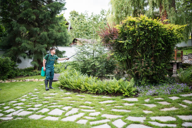Trusted Wakefield, VA Pest Control Experts