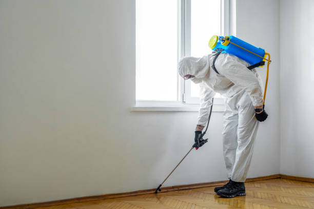 Best Affordable Pest Control Services  in Wakefield, VA