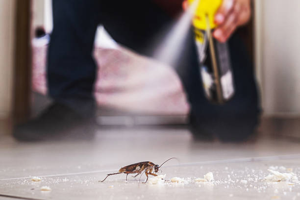 Reliable Wakefield, VA Pest Control Solutions