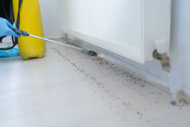 Best Pest Removal Services  in Wakefield, VA